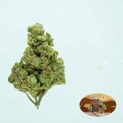 10g Black Cherry Punch (G.H) + Free Shipping