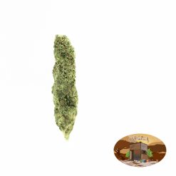 10g Amnesia Haze (Outdoor) + Free Shipping