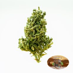 10g/20g Trainwreck (G.H) + Free Shipping