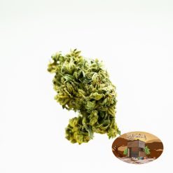 10g/20g Cream Soda (G.H) + Free Shipping