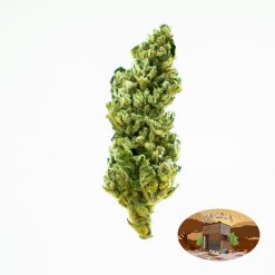 10g/20g Lemon Ice (G.H) + Free Shipping