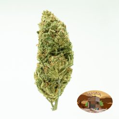 10g/20g Moby Dick (G.H) + Free Shipping