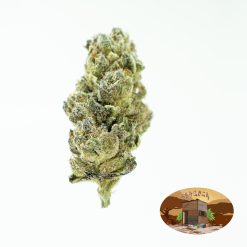 10g/20g Sugar Cookies (G.H) + Free Shipping