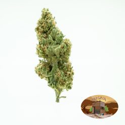 10g American Pie (G.H) + Free Shipping
