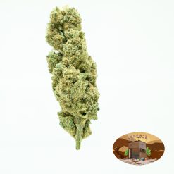 10g The One (G.H) + Free Shipping