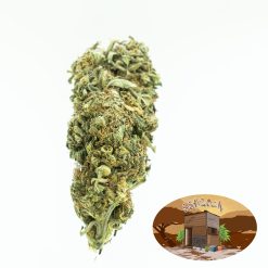 10g Big Budha Cheese (O.D) + Free Shipping