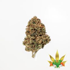 10g Rainbow Crush (G.H) + Free Shipping