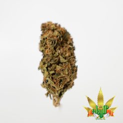 10g Double Krush (G.H) + Free Shipping