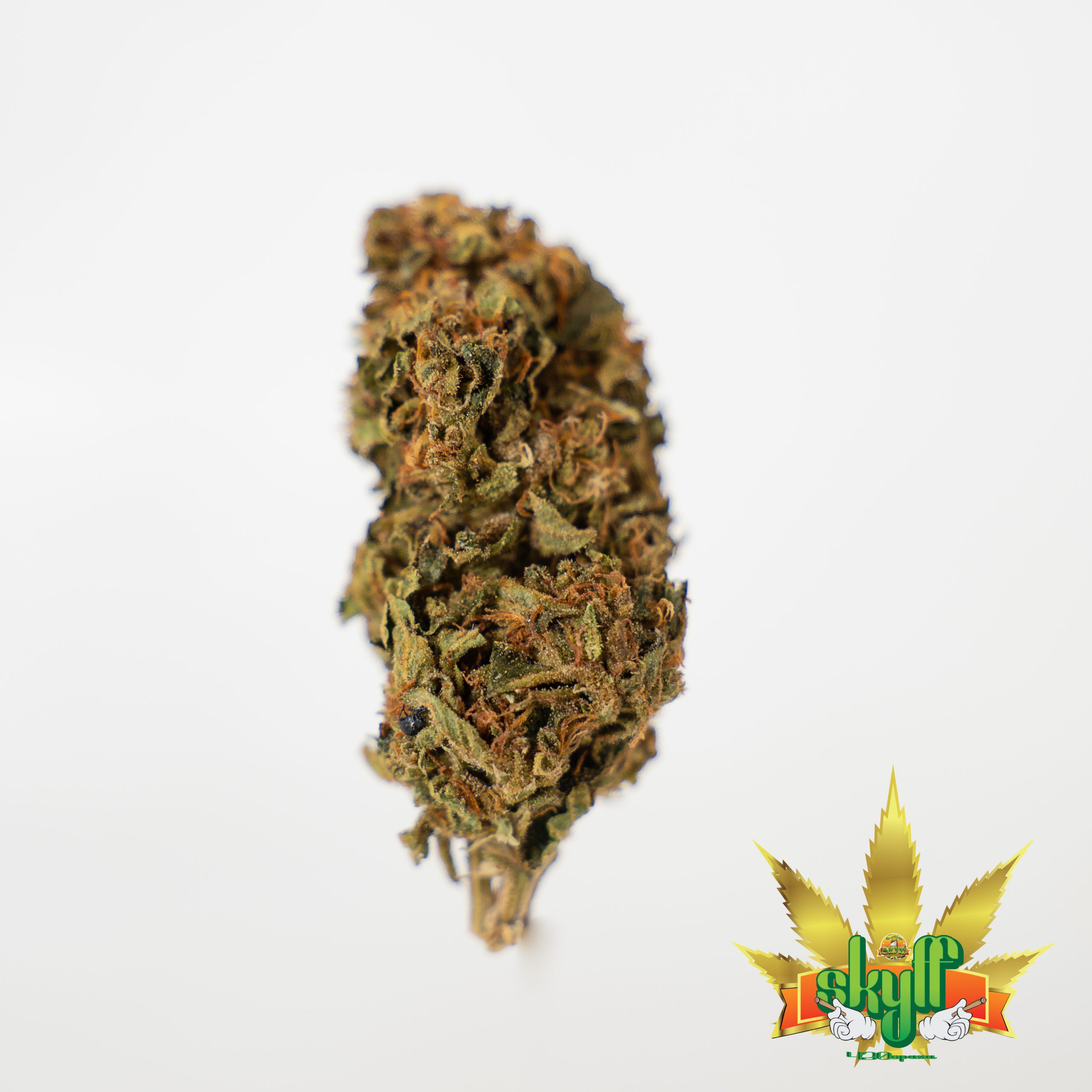 10g Double Krush (G.H) + Free Shipping