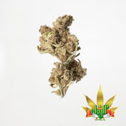 10g Apple Berry (G.H) + Free Shipping