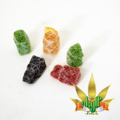 Gummie Bears (5)