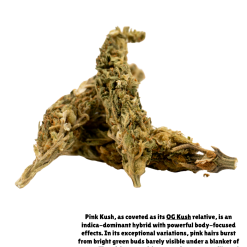 10g Pink Kush (O.D) + Free Shipping