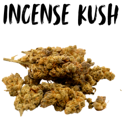 10g Frankie´s Incense Kush (G.H) + Free Shipping