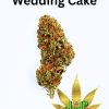 10g Wedding Cake