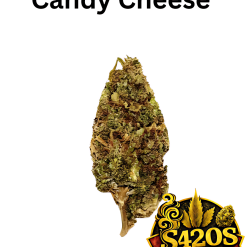 10g Candy Cheese