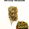 10g White Widow