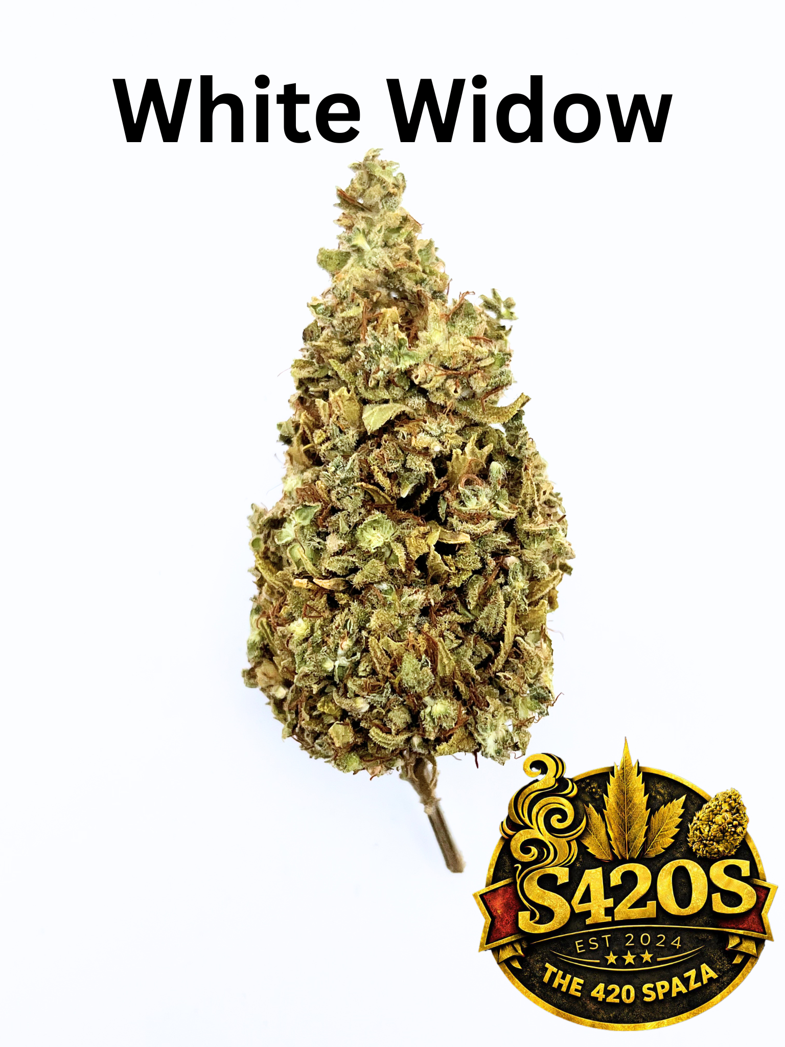 10g White Widow
