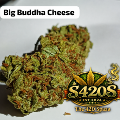 100g Big Buddha Cheese