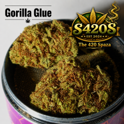 100g Gorilla Glue