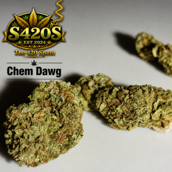 100g Chem Dawg
