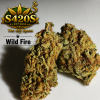 100g Wild Fire