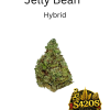 Jelly Bean