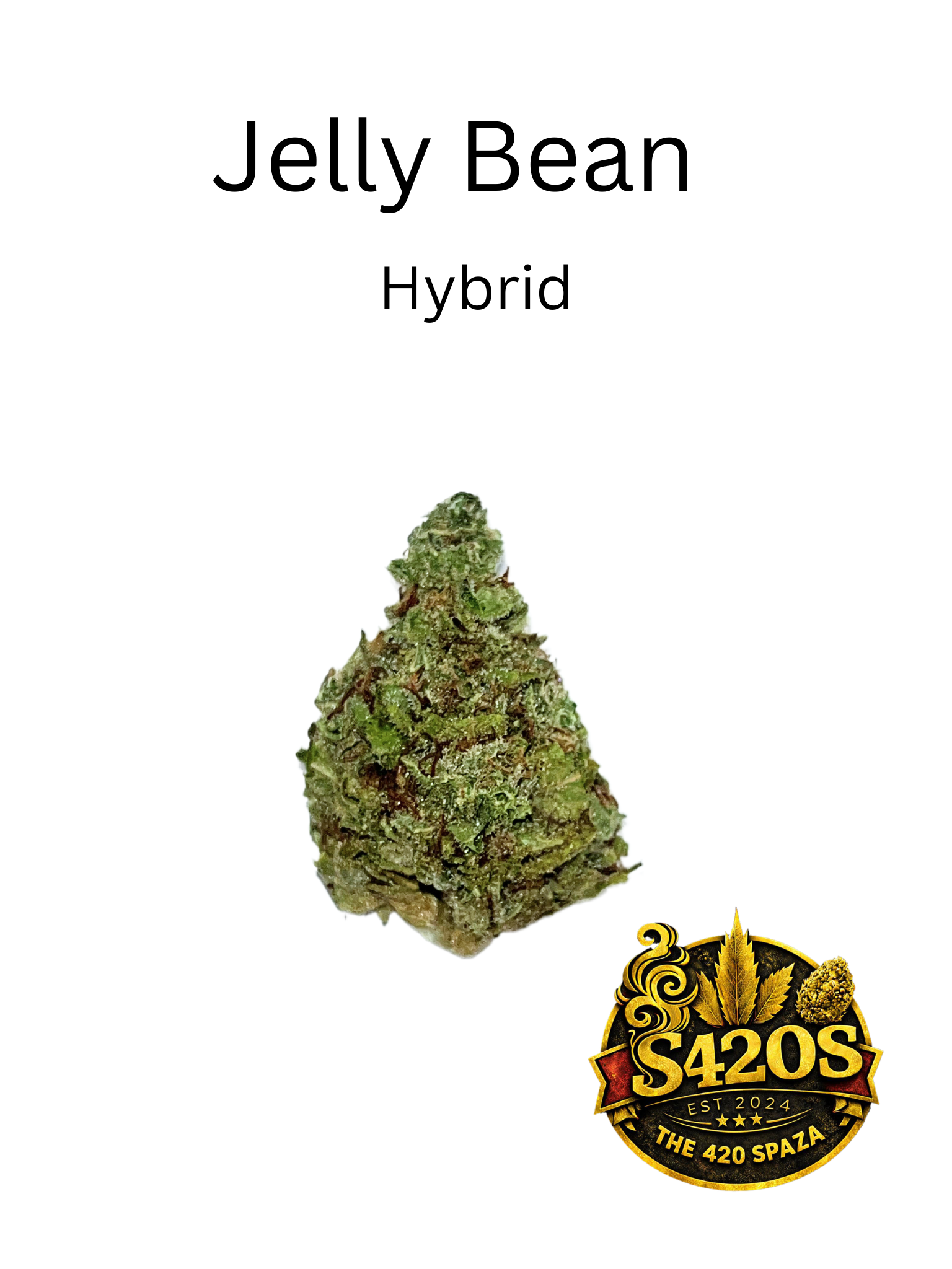 Jelly Bean