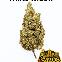 100g White Widow