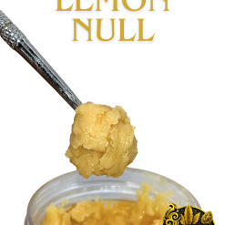 Lemon Null ID DAB