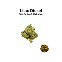 Lilac Diesel