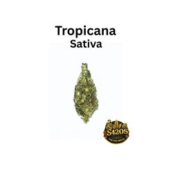 Tropicana