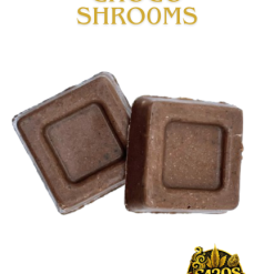 Choco Shrooms