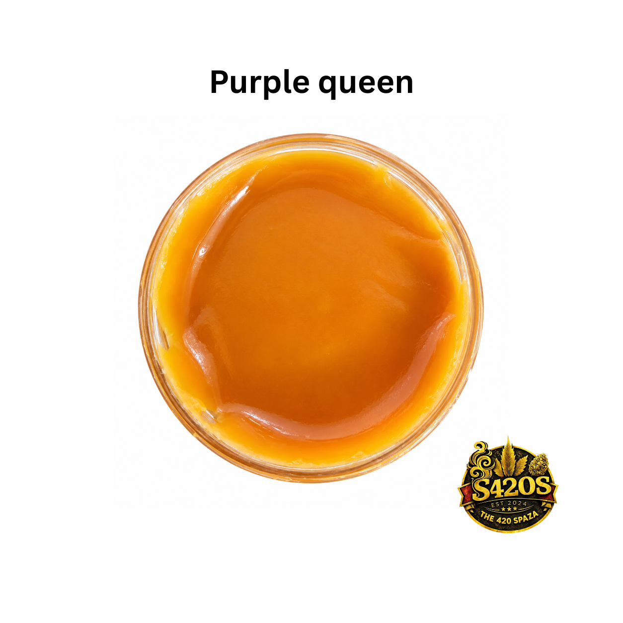 Purple Queen
