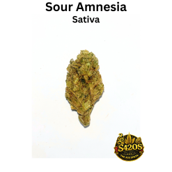 Amnesia Haze